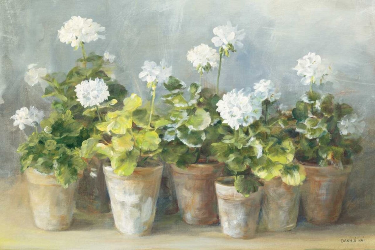 White Geraniums Poster Print by Danhui Nai - Item # VARPDX13244